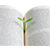 SproutBookmarkAV1F12