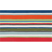 stripe multi rug