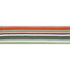 stripe multi runner.