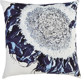 rugs/pillows