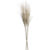 TailFeatherBlkWhtAV2S12