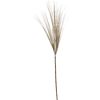 tail feather. 44.25"H