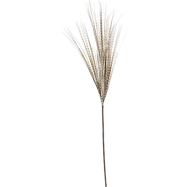 TailFeatherBlkWhtS12