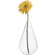 wall mounted teardrop vase