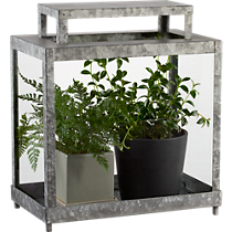 galvanized terrarium