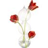 3-ball hanging vase