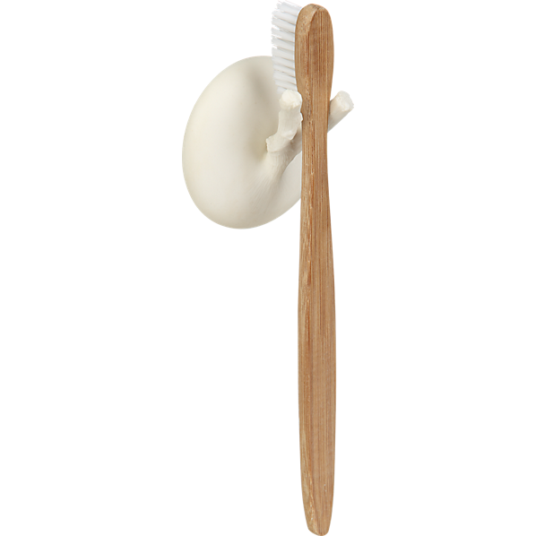 TreeToothbrushHldrAVF11