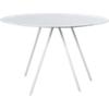 twig dining table