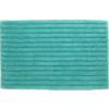vertical stripe aqua bath rug